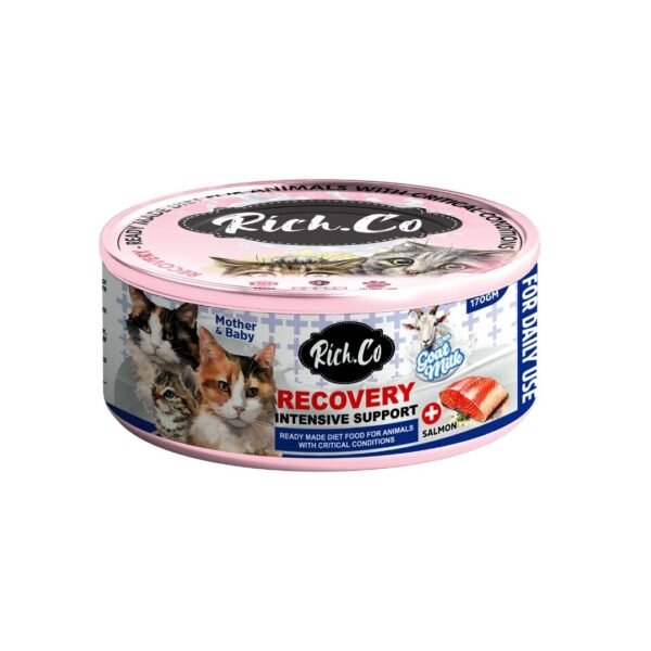 inv_product-1749201622873 Rich.co 170g Recovery Intensive Support Wet Cat Food