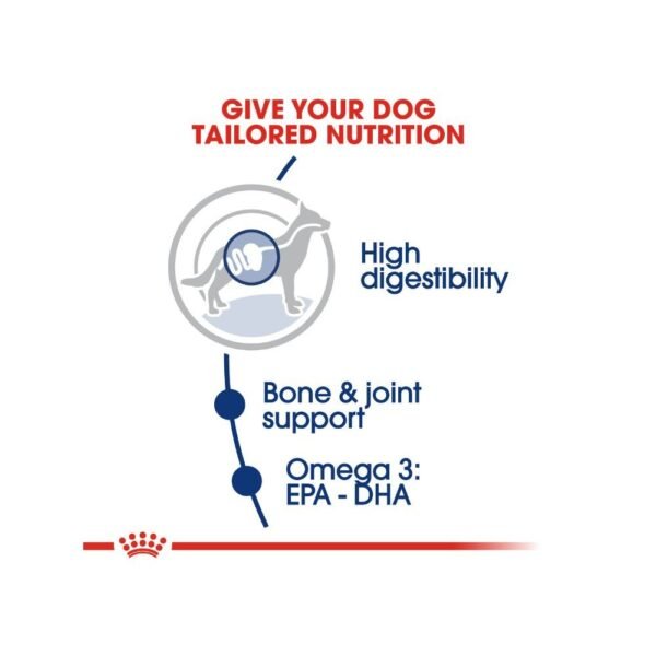 inv_product-1667289015176 (1) Royal Canin Maxi Adult 15kg Dry Dog Food