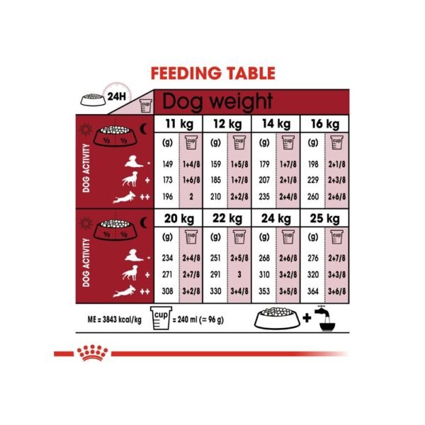 inv_product-166729866966 Royal Canin Medium Adult 4kg Dry Dog Food