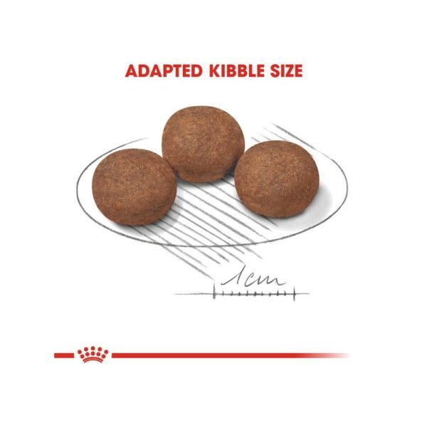 inv_product-1667299020980 Royal Canin Medium Puppy 4kg Dry Dog Food