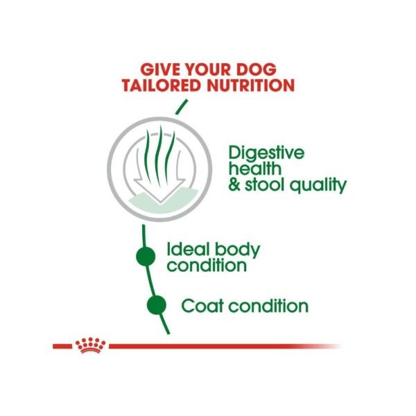 inv_product-1667386567409 Royal Canin Mini Indoor Adult 7.5kg Dry Dog Food