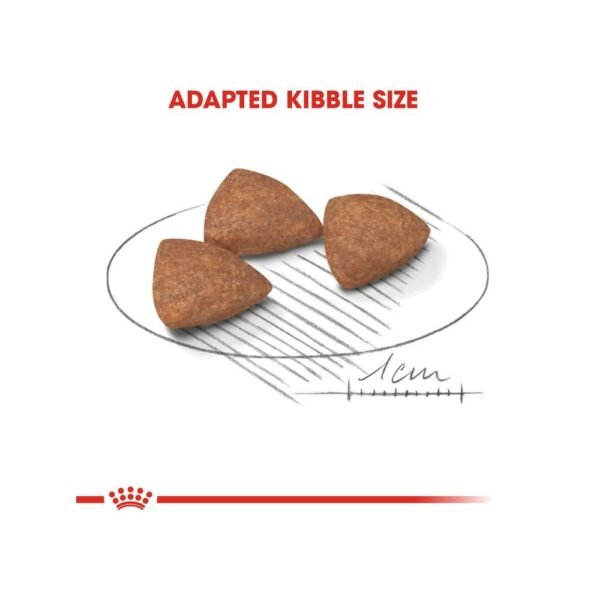 inv_product-1667386567528 Royal Canin Mini Indoor Adult 7.5kg Dry Dog Food