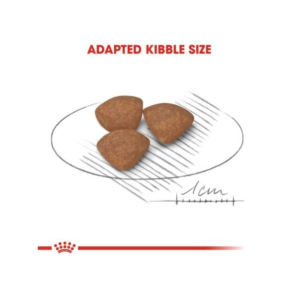 Royal Canin Mini Puppy 2kg Dry Dog Food