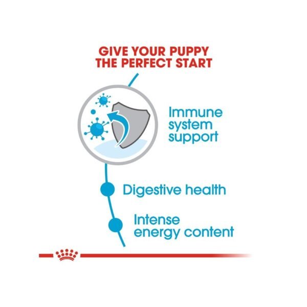 Royal Canin Mini Puppy 2kg Dry Dog Food