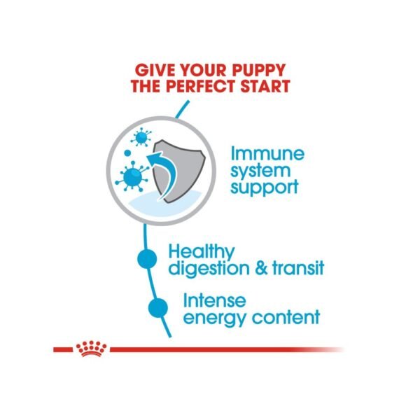 inv_product-1667461061787 Royal Canin Xsmall Junior / Puppy 3kg Dry Dog Food