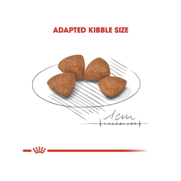 inv_product-1667461061883 Royal Canin Xsmall Junior / Puppy 3kg Dry Dog Food