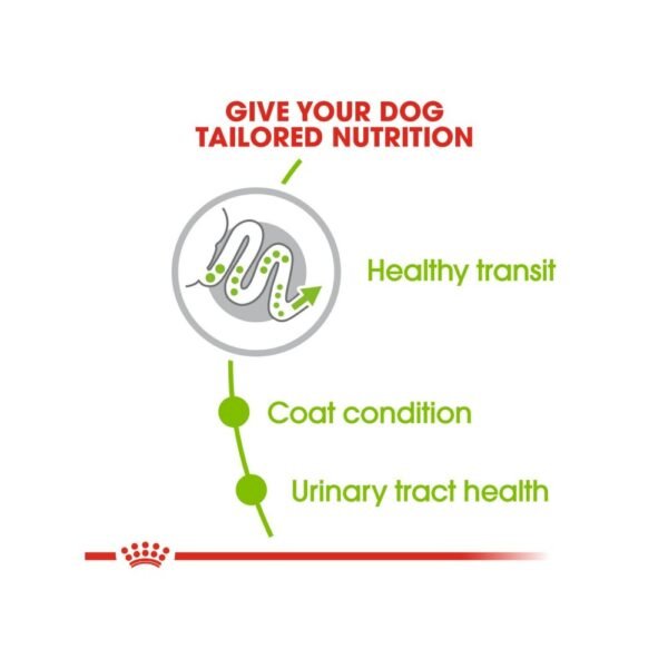 Royal Canin Xsmall Adult 3kg Dry Dog Food