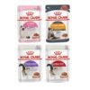 product_group-1749542350-VfGL Royal Canin Wet Cat Food In Gravy 85g X12